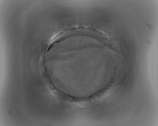 X0000114490144200911091056