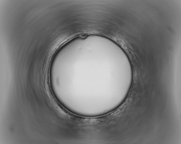 X0000114490145200911091056
