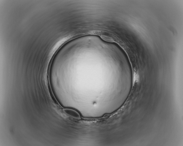 X0000114490147200911091056