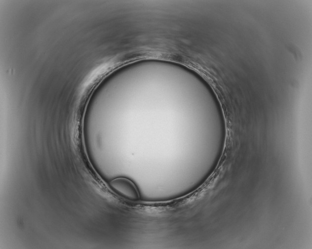 X0000114490149200911091056