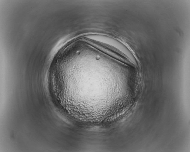 X0000114490151200911091056