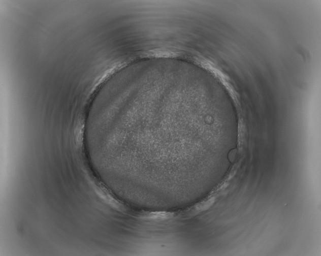 X0000114490153200911091056