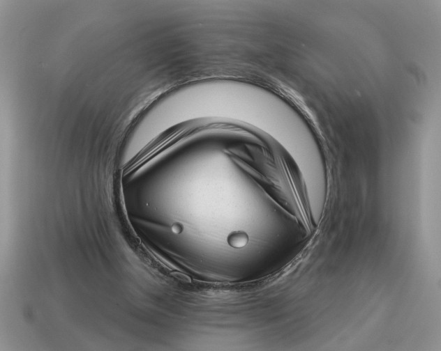 X0000114490154200911091056