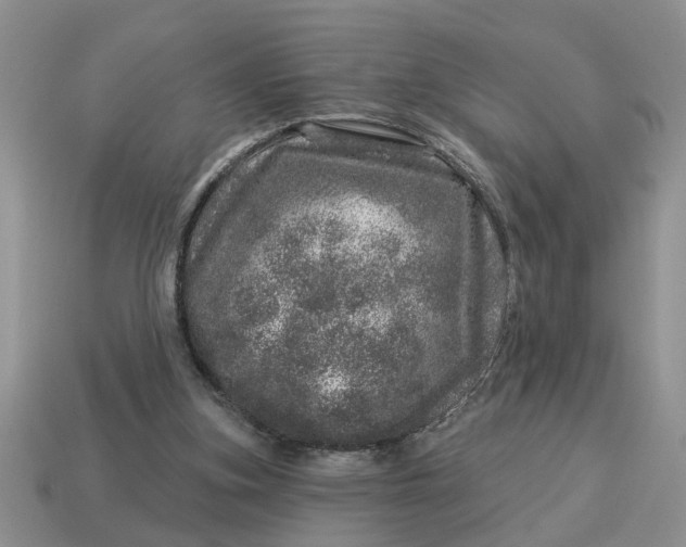 X0000114490155200911091056