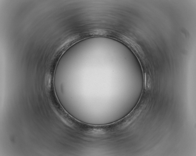 X0000114490157200911091056