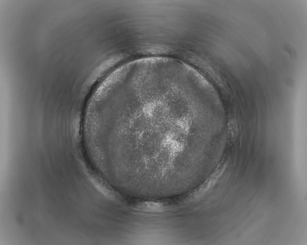 X0000114490159200911091056