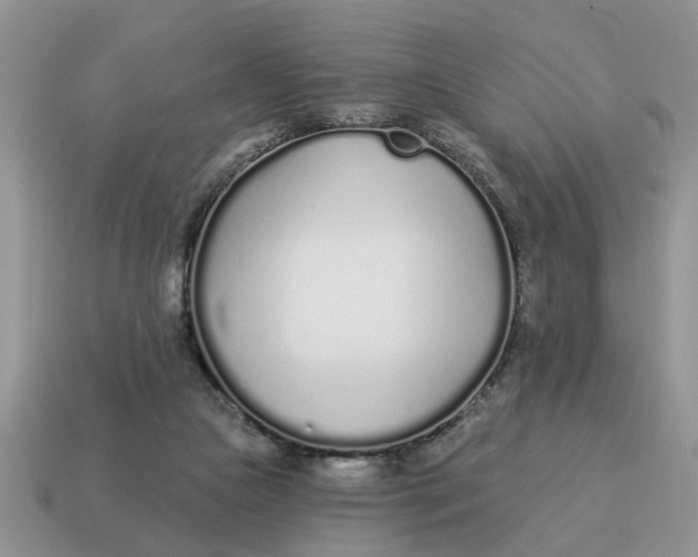 X0000114490161200911091056