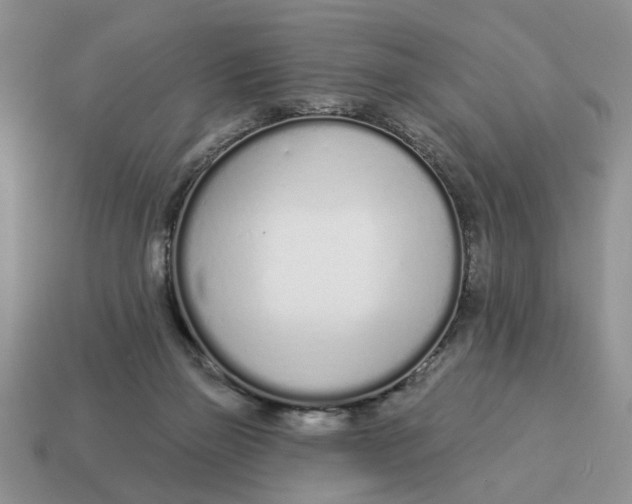 X0000114490165200911091056