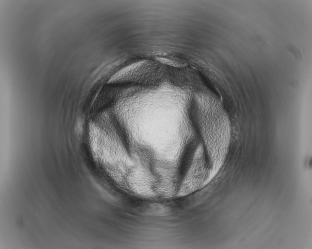 X0000114490166200911091056