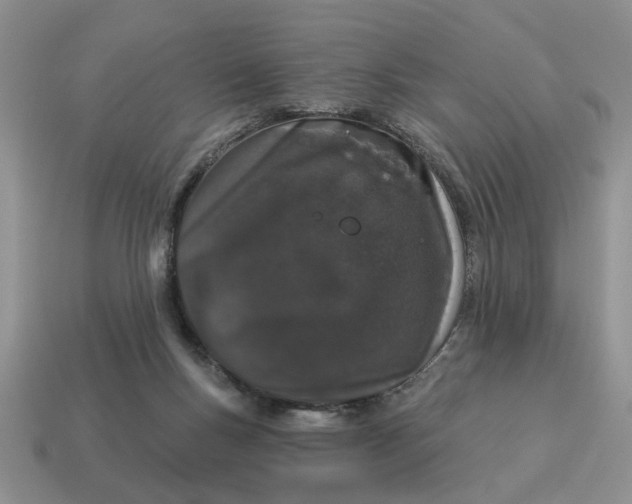 X0000114490167200911091056