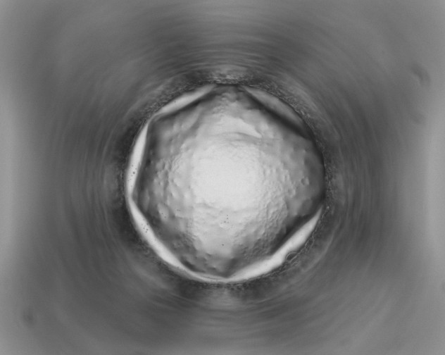 X0000114490169200911091056