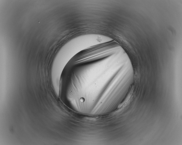 X0000114490170200911091056