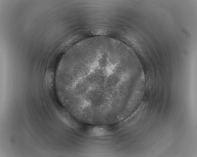 X0000114490171200911091056