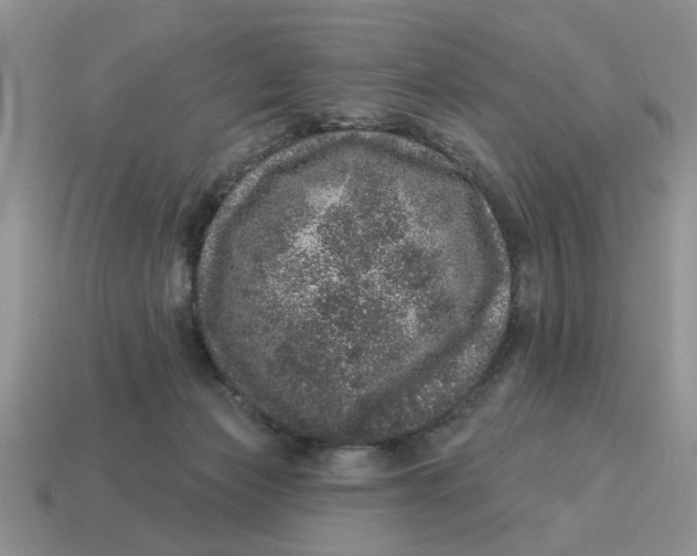 X0000114490173200911091056