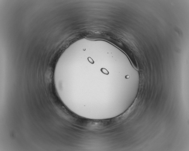 X0000114490174200911091056