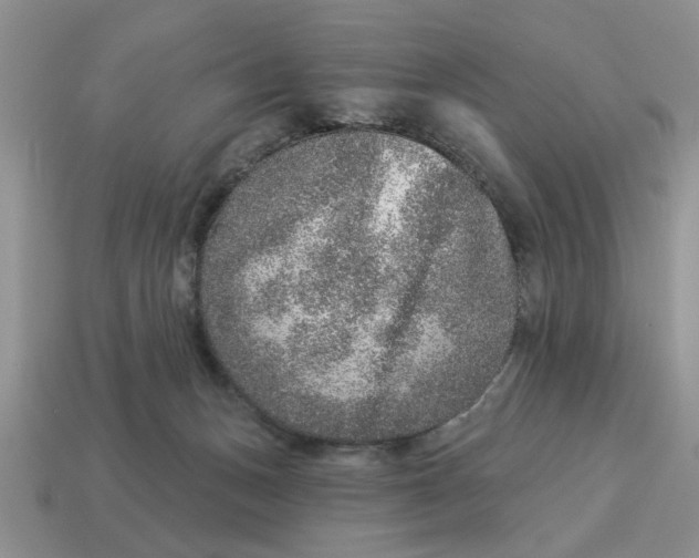 X0000114490175200911091056