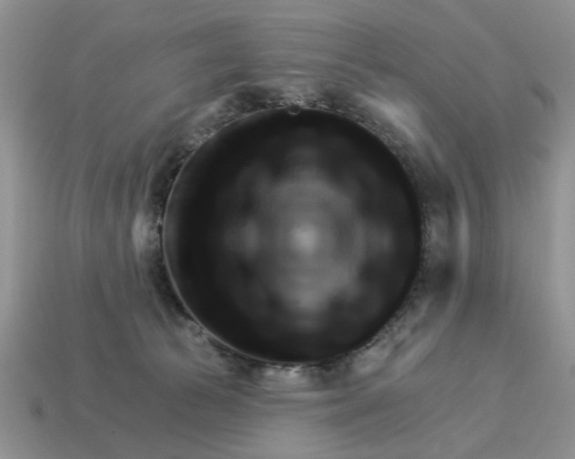 X0000114490177200911091056