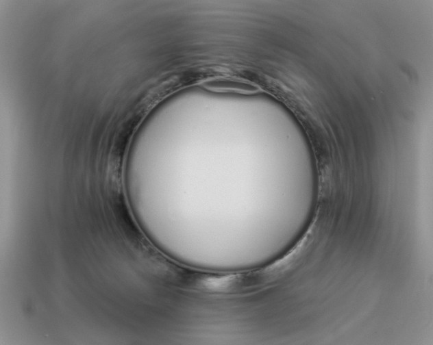 X0000114490178200911091056