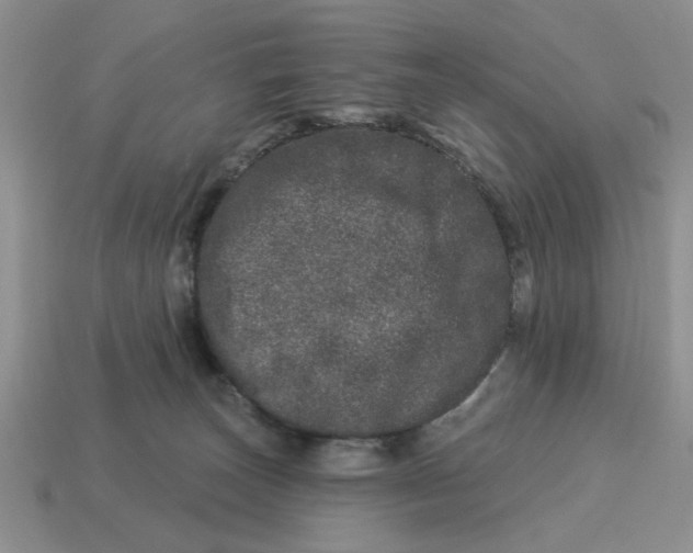 X0000114490179200911091056