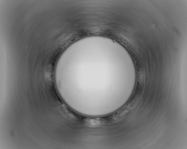 X0000114490181200911091056