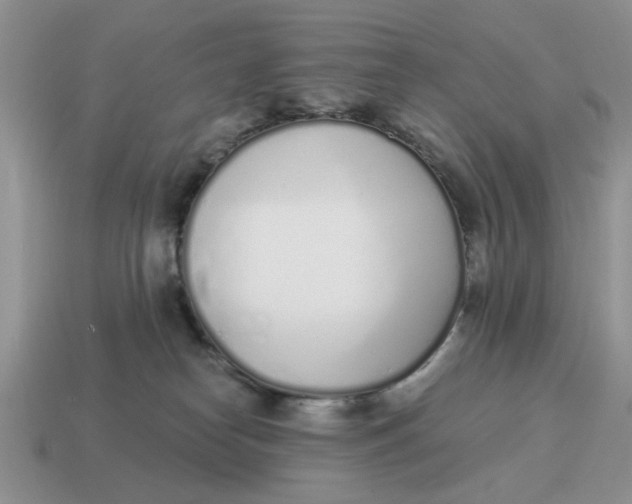 X0000114490182200911091056