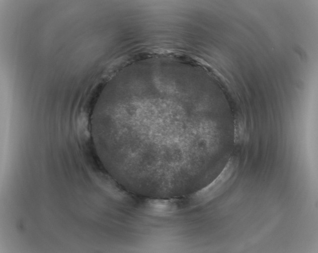 X0000114490187200911091056