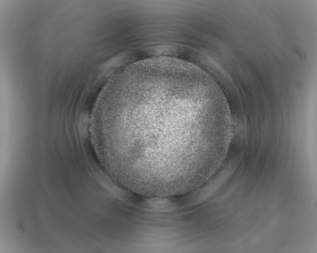 X0000114490189200911091056