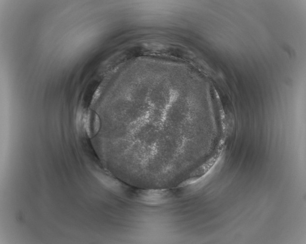 X0000114490191200911091056