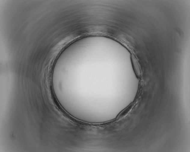 X0000114490193200911091056