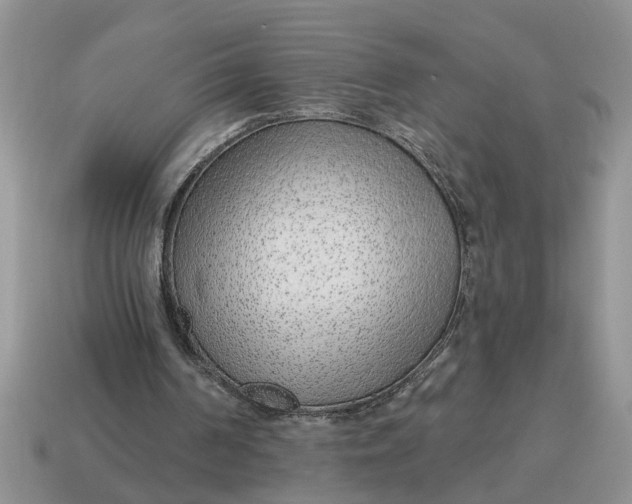 X0000114490194200911091056