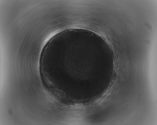 X0000114490196200911091056
