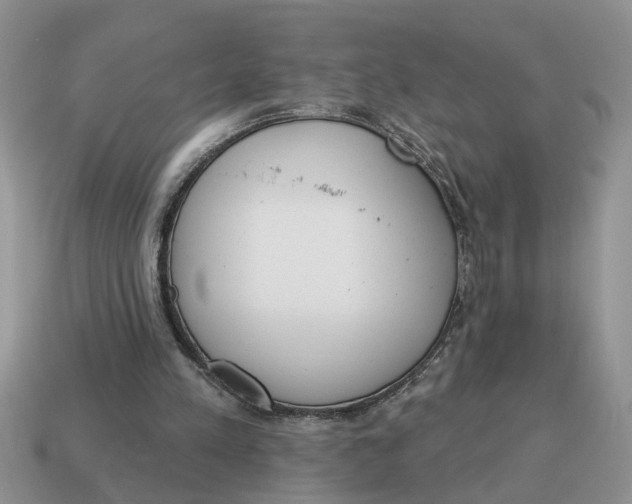 X0000114490197200911091056