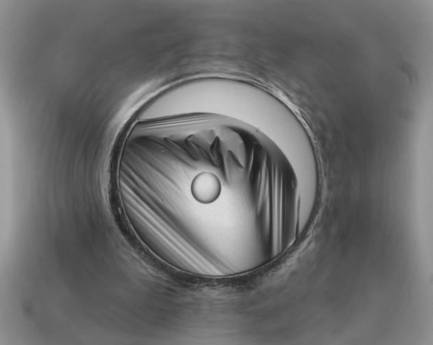 X0000114490199200911091056