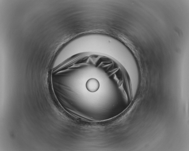 X0000114490201200911091056