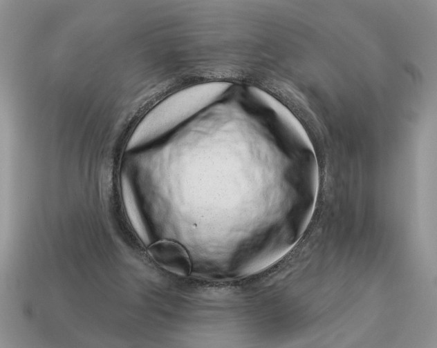 X0000114490202200911091056