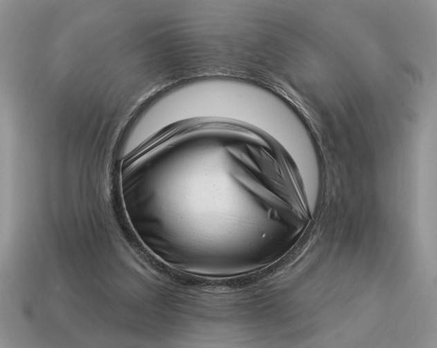 X0000114490203200911091056