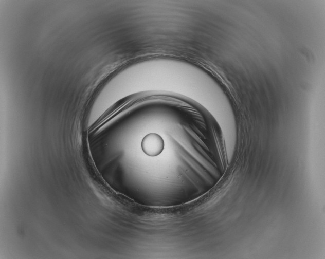 X0000114490205200911091056