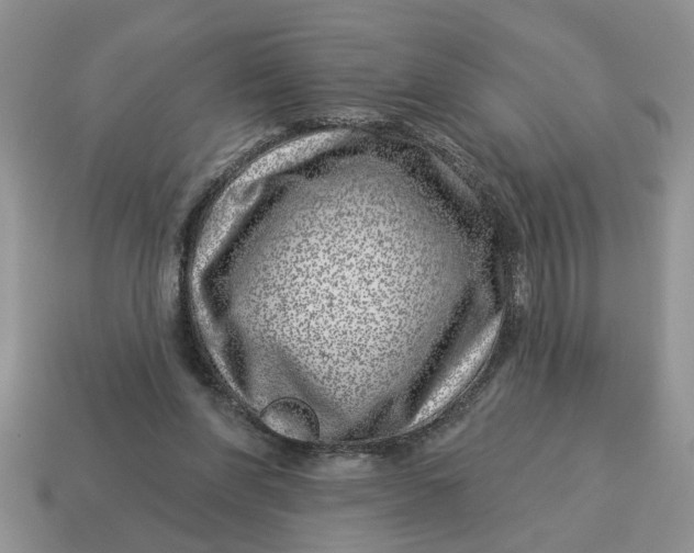 X0000114490206200911091056
