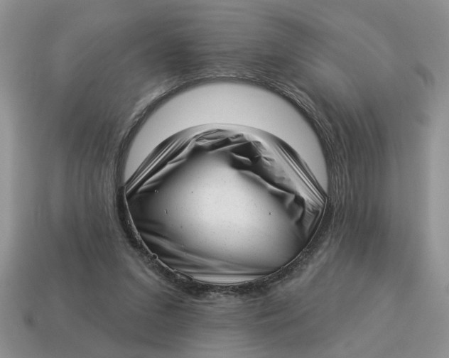 X0000114490207200911091056