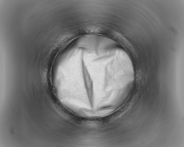 X0000114490209200911091056