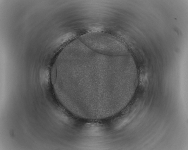 X0000114490211200911091056