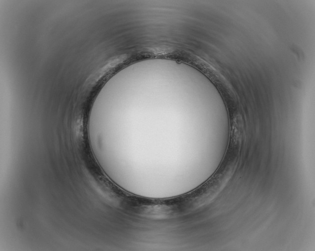 X0000114490212200911091056