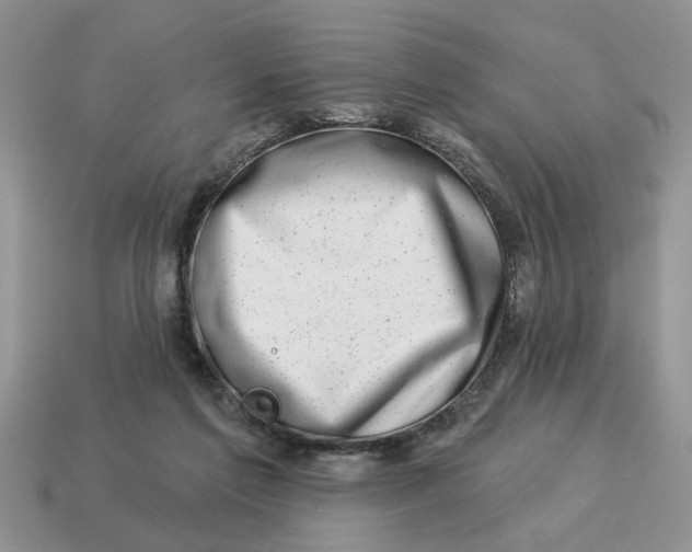 X0000114490213200911091056