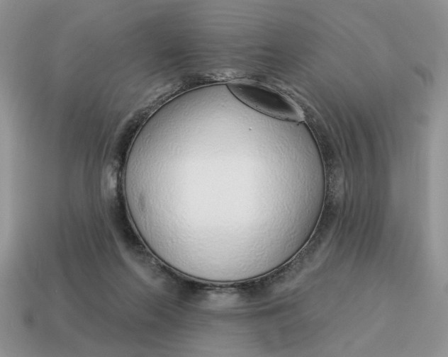 X0000114490214200911091056