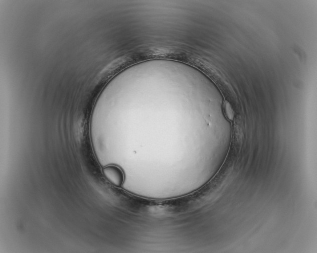 X0000114490216200911091056