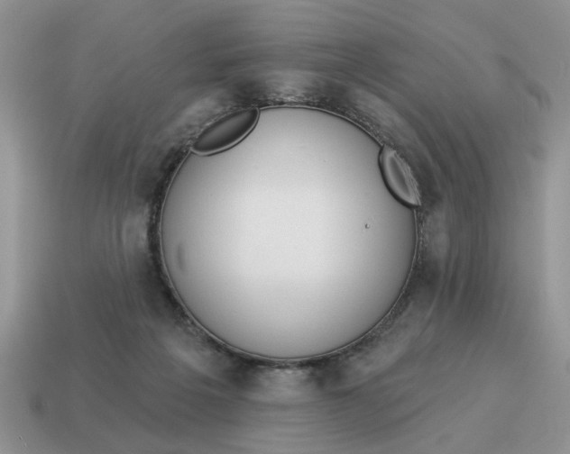 X0000114490217200911091056