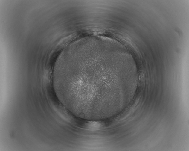 X0000114490218200911091056