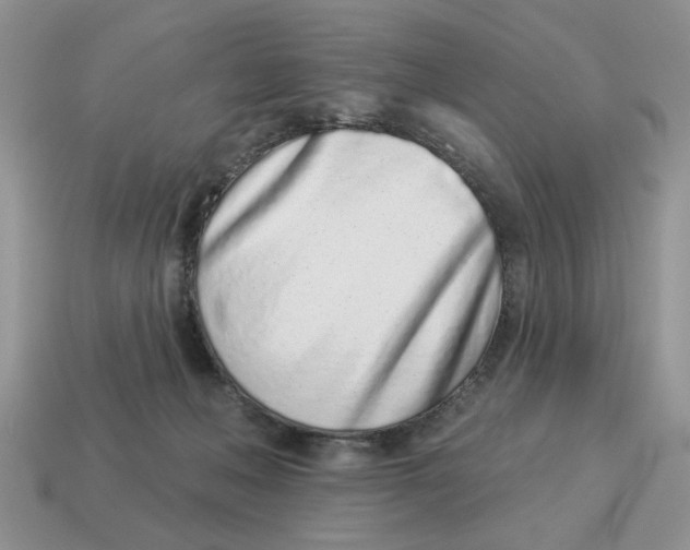 X0000114490222200911091055