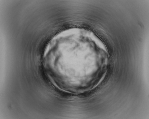 X0000114490224200911091055