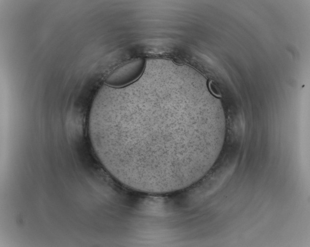 X0000114490227200911091055